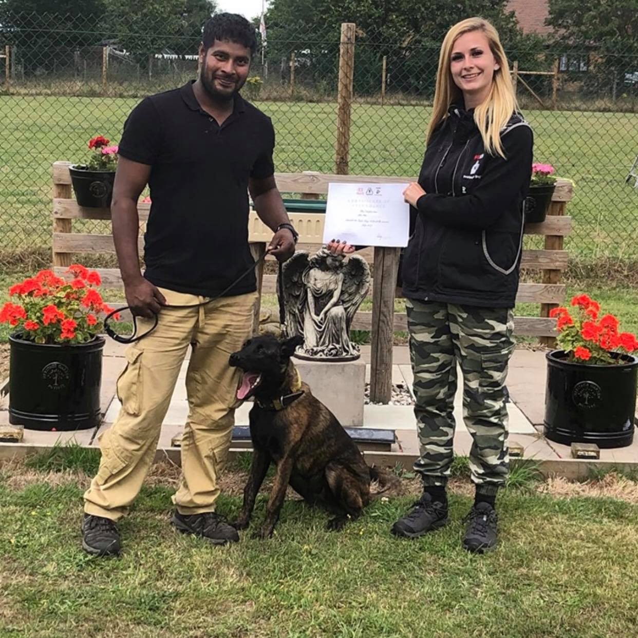 Happy dog with trainer